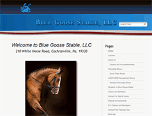 Tablet Screenshot of bluegoosestable.com